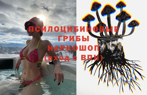 крисы Кинешма