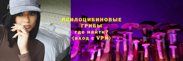 крисы Кинешма