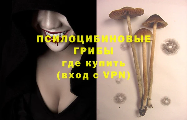 МДПВ Киренск